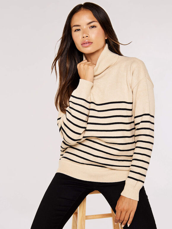 Striped Roll Neck Jumper | Apricot Clothing