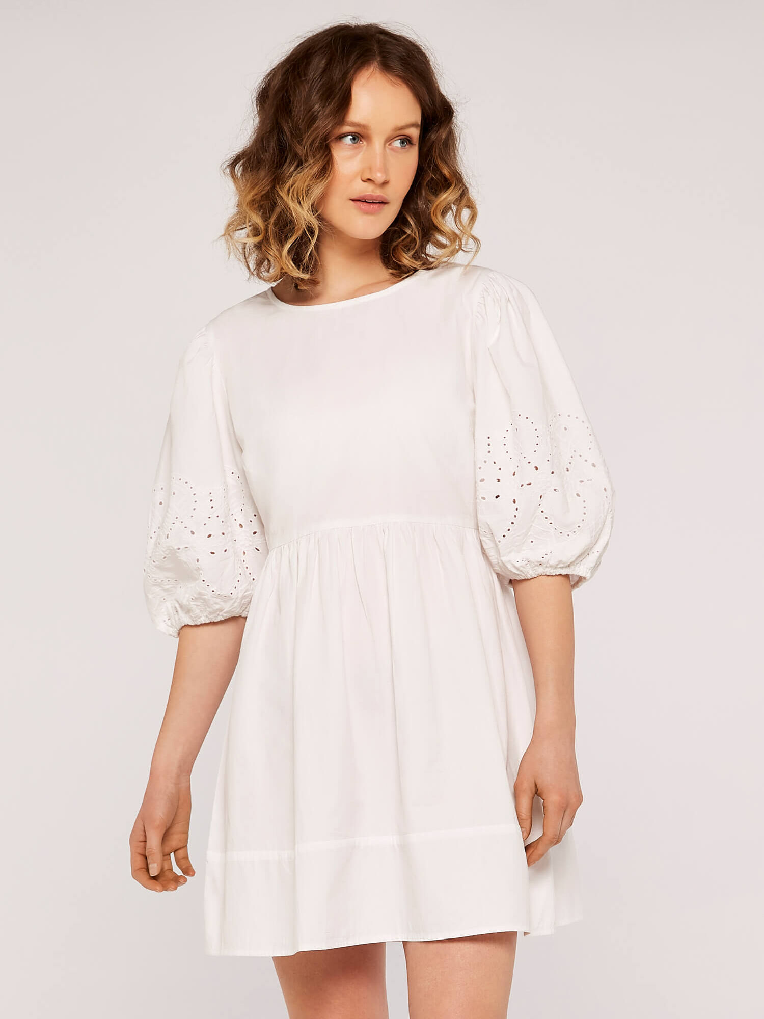 Embroidery Puff Sleeve Dress | Apricot Clothing